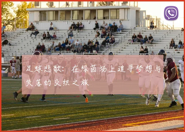 足球悲歌：在绿茵场上追寻梦想与失落的交织之旅